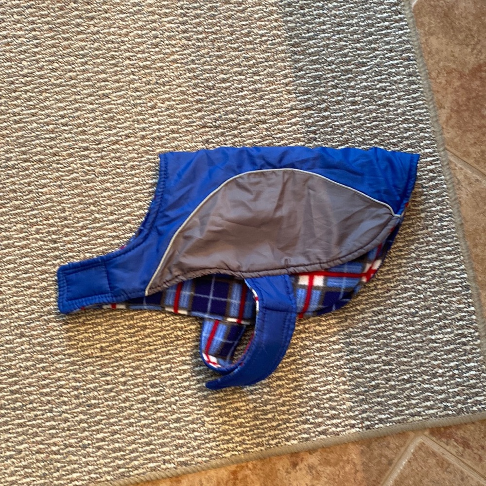 Blue dog coat